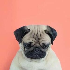 Meet your Posher, Aung kyi